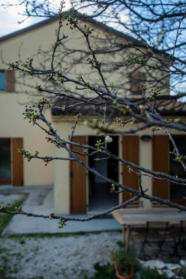 Conero Farm stay