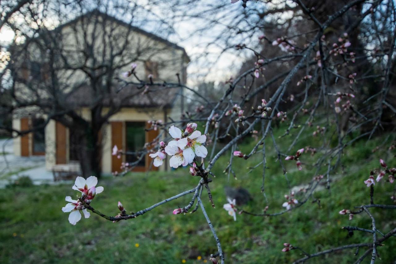 Conero Farm stay Ancona