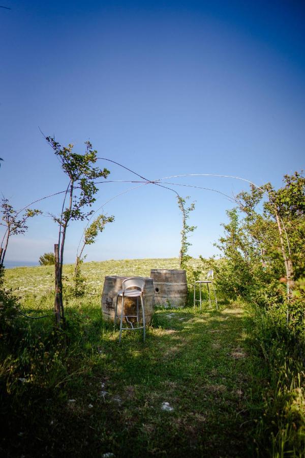 Farm stay Conero